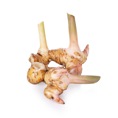 新鲜白皮南姜泰式冬阴功食材调味调料香料菜高良姜生姜香料250g