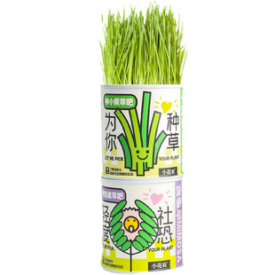 易拉罐盆栽猫草罐头种子植物草莓向日葵种籽子儿童种植观景盆栽