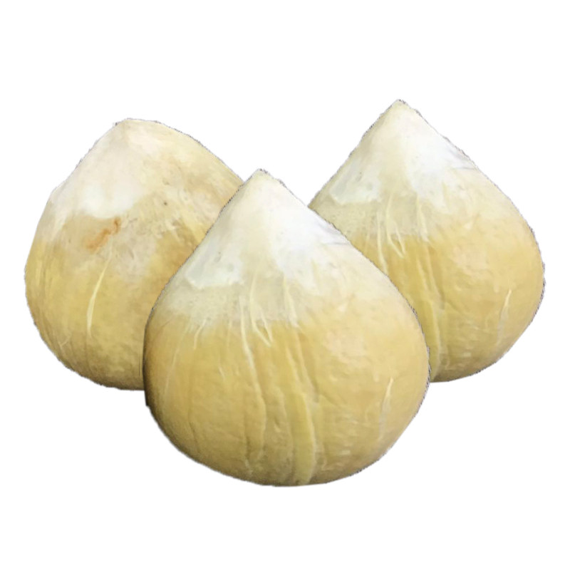 泰国进口牛奶包邮吸管煲汤椰皇