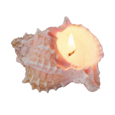 fourmealsfourseasons红骨螺香薰