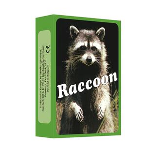 欧卡牌oh卡投射卡浣熊卡潜意识心灵图卡