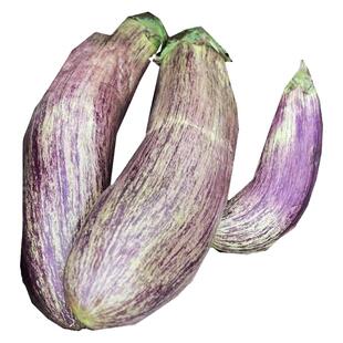 东北面包茄子烧烤花茄子新鲜特产农家应季青茄子做茄酱蒜茄子5斤