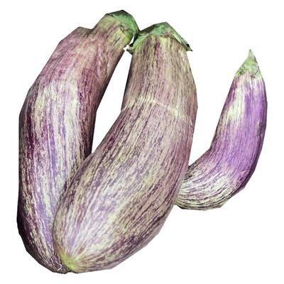 东北面包茄子5斤新鲜特产