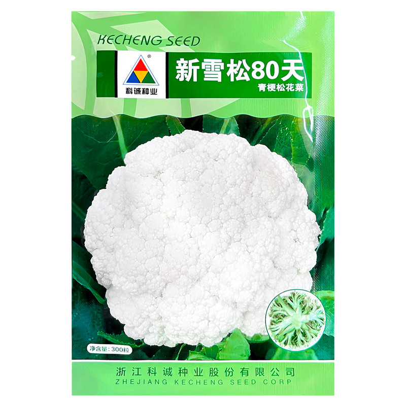 科诚新雪松80天中熟白花菜种籽蔬菜种子/种苗