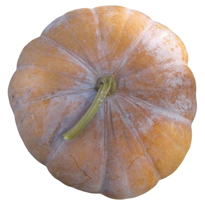 北京平谷农家地头老南瓜蔬菜特产