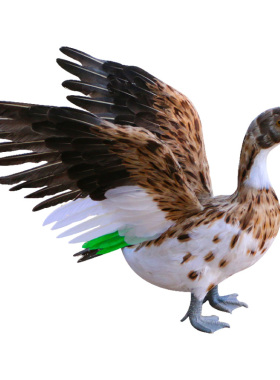 仿真鸭子农场超市饭店动物模型