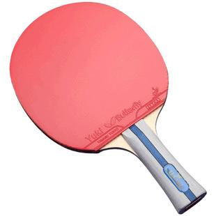 蝴蝶牌乒乓球拍五星4四星专业级兵乓球5星兵兵儿童直拍1单拍2只装