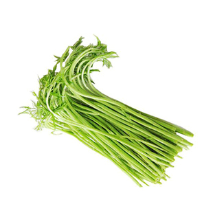 藜蒿新鲜芦蒿去叶净菜当季泥蒿新鲜现摘黎蒿篱蒿现摘新鲜现摘现发