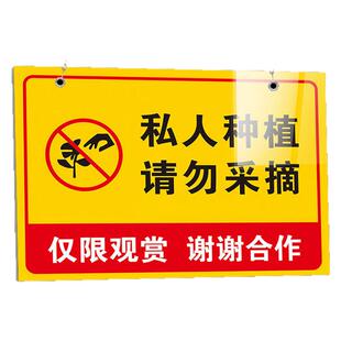私人种植请勿采摘警示牌定制告示牌果园果树标识牌挂牌禁止采摘警告牌子提示牌修剪园林花园爱护花草农药标语