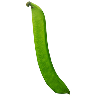 红刀豆种子苗特长种籽孑农家特大巨型白豆角四季蔬菜无架秧苗春季