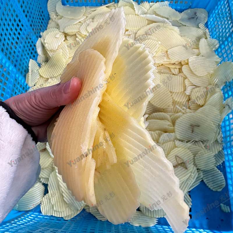 商用大型旋风擦丝机芋头红薯螺旋切丝机薯片加工流水线设备