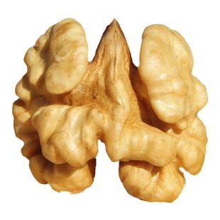 新疆新鲜大核桃仁2025年新货生的原味无添加打豆浆专用核桃肉250g