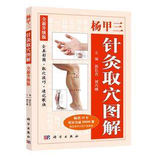 杨甲三针灸取穴图解 取穴技巧 速记歌诀 针炙学针灸书 穴位经络扎针 针炙基础理论与临床应用 针炙自学入门书 中医针炙书 正版书籍