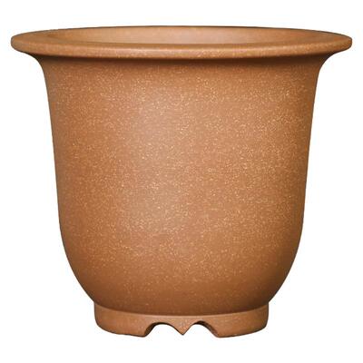 金砂降坡古典透气养根