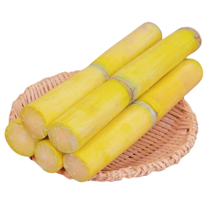 广西新鲜黄金甘蔗应季当季热带水果黑皮陶整箱批发山超甜黄皮甜蔗