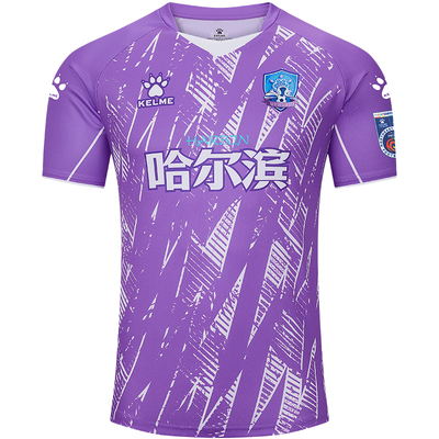 东北超哈尔滨主客场球迷服