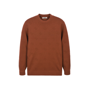 【专柜同款】Raidy Boer/雷迪波尔2025冬男提花针织羊毛毛衣 5011