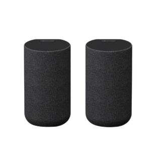 Sony/索尼 SA-RS5 真无线后环绕音箱 适用于A9000/A8000 回音壁