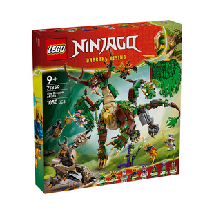 1月新品 LEGO乐高71859生命源龙益智拼搭积木儿童模型玩具