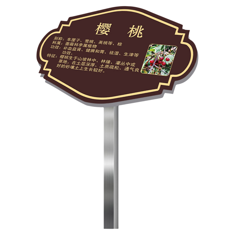 亚克力花草牌树牌植物介绍牌