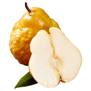 正宗中华丑梨软糯梨子当季整箱山东烟台莱阳梨太婆梨啤梨新鲜水果