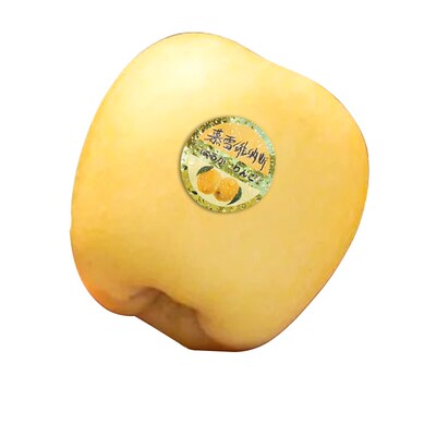 黄金维纳斯山姆供应商假一罚十