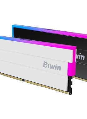 佰维DW100DDR5台式机RGB灯条