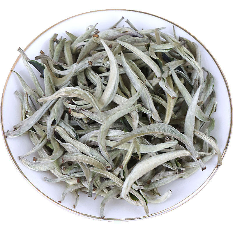 云白毫春茶特级月光白芽茶银芽针