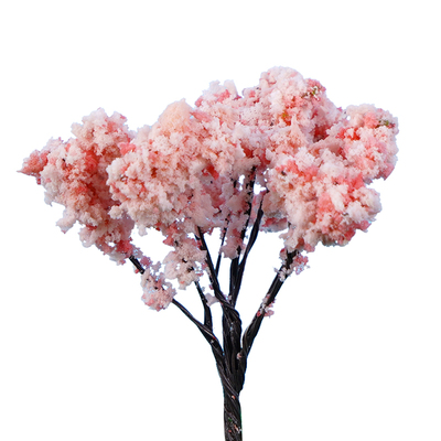 建模微缩树草粉铁丝树沙盘模型