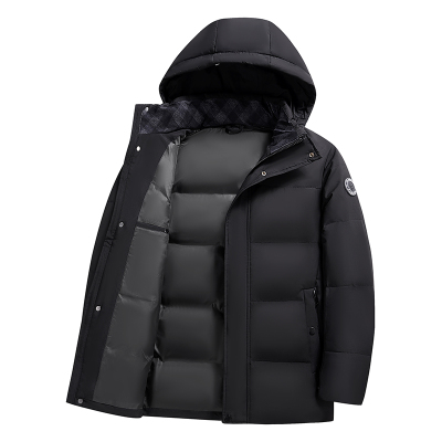 鸭鸭高鹅绒300g鹅绒羽绒服男款