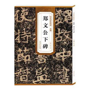 历代碑帖精粹 北魏 郑文公下碑 简体旁注技法解析 第四辑毛笔软笔楷书碑帖书法练字帖 薛元明编 安徽美术出版社