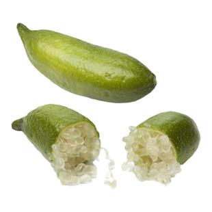 手指柠檬新鲜果澳洲品种指橙鱼子酱50g拇指柠檬西餐排盘装饰点缀