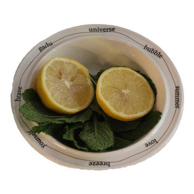 gadu酸奶碗博主同款法式碗