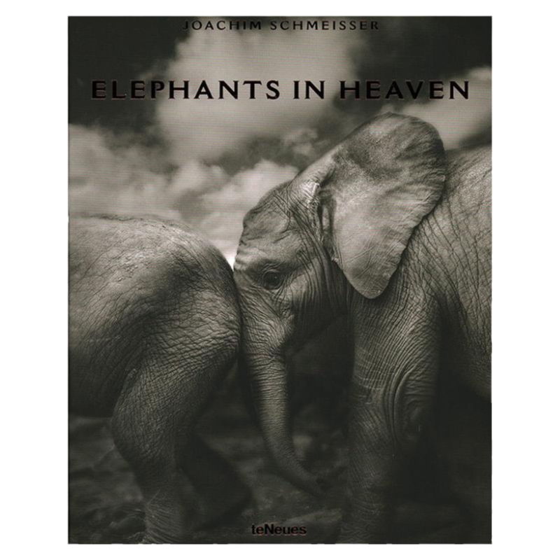 预售 Elephants in Heaven 天堂里的大象 摄影