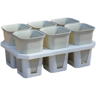 方口万象盆6格托架组合蝴蝶兰深盆十二卷仙人球根盆整理托架大号