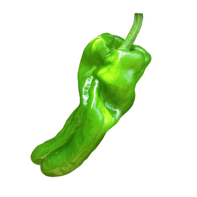 蔬菜5号灯笼虎皮四季辣椒种子