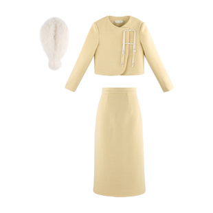 冬装搭配一整套时尚套装女秋冬套裙2023新款毛呢外套半身裙两件套