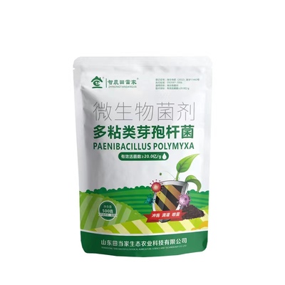 田当家多粘类芽孢杆菌育苗生根