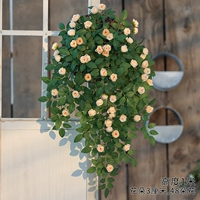 Настенная подвеска «Бутон Виктории» цвета шампанского (входит в корзину для фрисби)