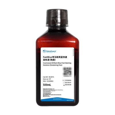 白鲨BiosharpBL607A FastBlue考马斯亮蓝快速染色液(免脱)