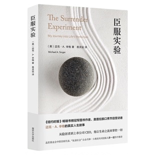 臣服实验 迈克A辛格著 不羁的灵魂作者 自我实现励志书籍新华书店