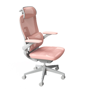 乐瓦ENOVA智慧家海绵垫女神人体工学椅女生小个子办公电脑电竞椅