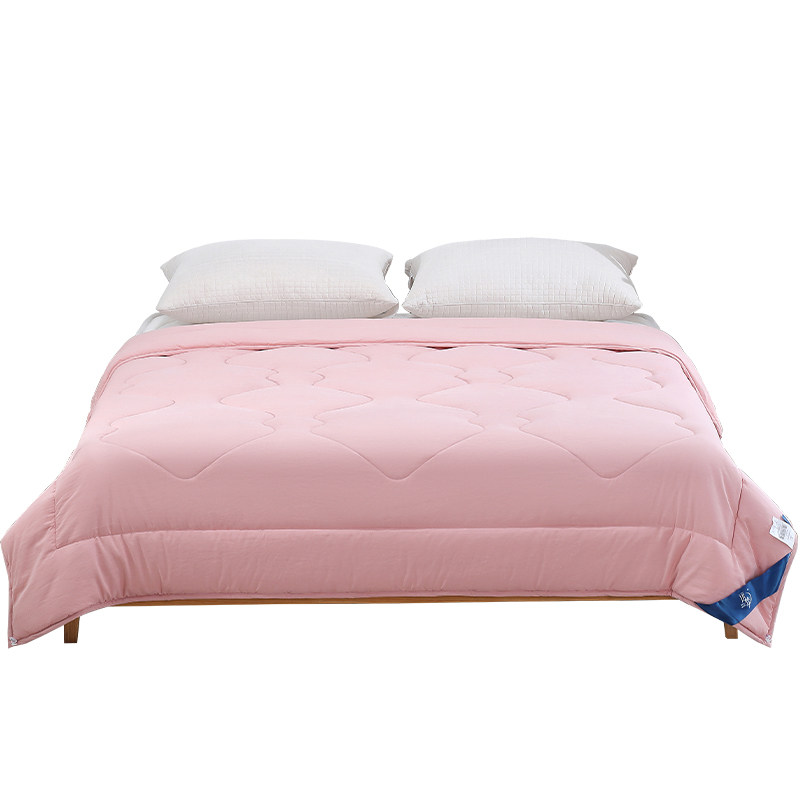 远梦家纺被子被芯单双人蚕丝被四季通用春秋被蚕宝柔肤2米空调被