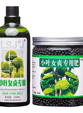小叶女贞专用肥料营养液