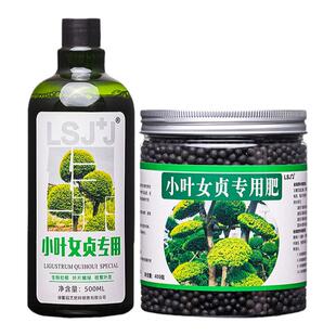 小叶女贞专用肥小叶水蜡树肥料营养液颗粒肥有机肥肥老桩四季常青