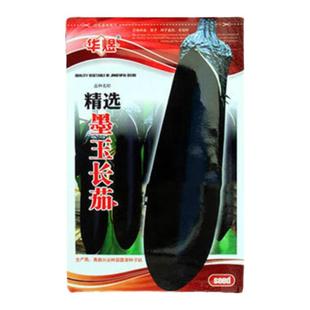 墨玉长茄种子王中王长茄种籽黑龙茄子圆茄种籽早熟高产蔬菜种孑