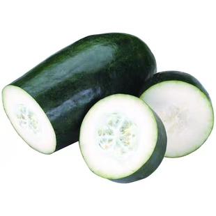 炮弹冬瓜种子广东黑皮冬瓜种籽特大巨型春秋春季四季蔬菜种孑高产