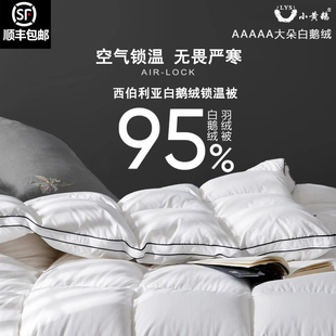 小黄鹅160支全被被子棉95白单被冬鹅绒双人羽绒被芯加厚春秋被