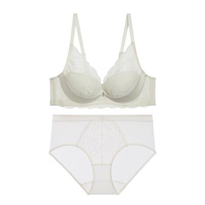 爱慕小苍兰3/4软托蜂巢