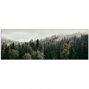 森林客厅长横幅装饰画大气风景画沙发背景墙挂画现代北欧墙画壁画